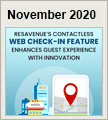 Newsletter for November 2020